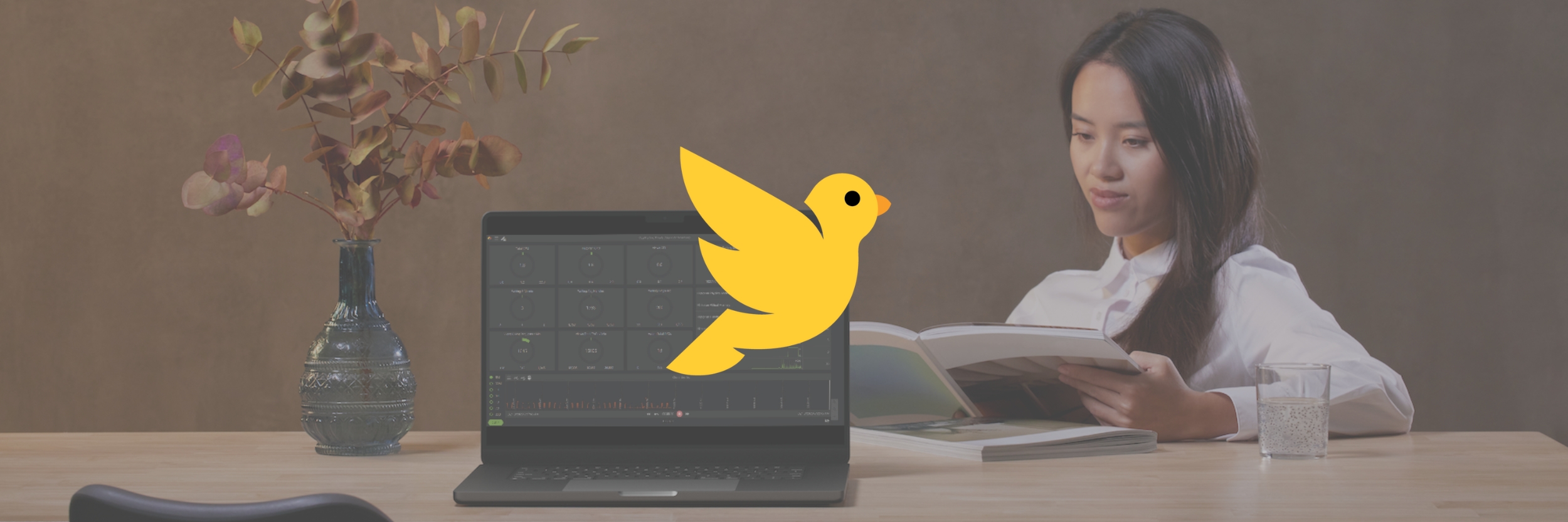 Collect store edge data with canary